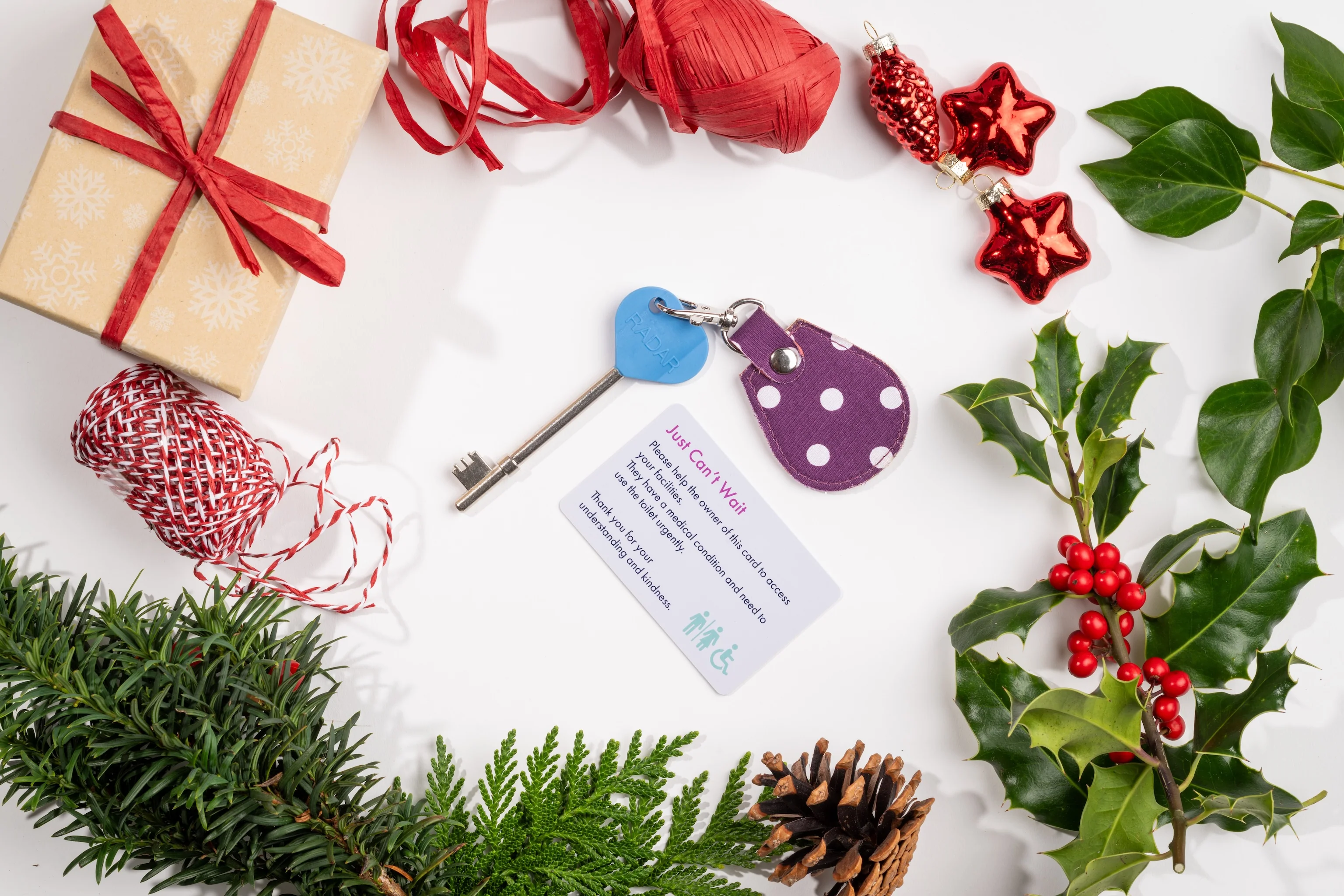Genuine RADAR Disabled Toilet Key and Fabric Keyring in Spotty Grape - UK Made - Image 3