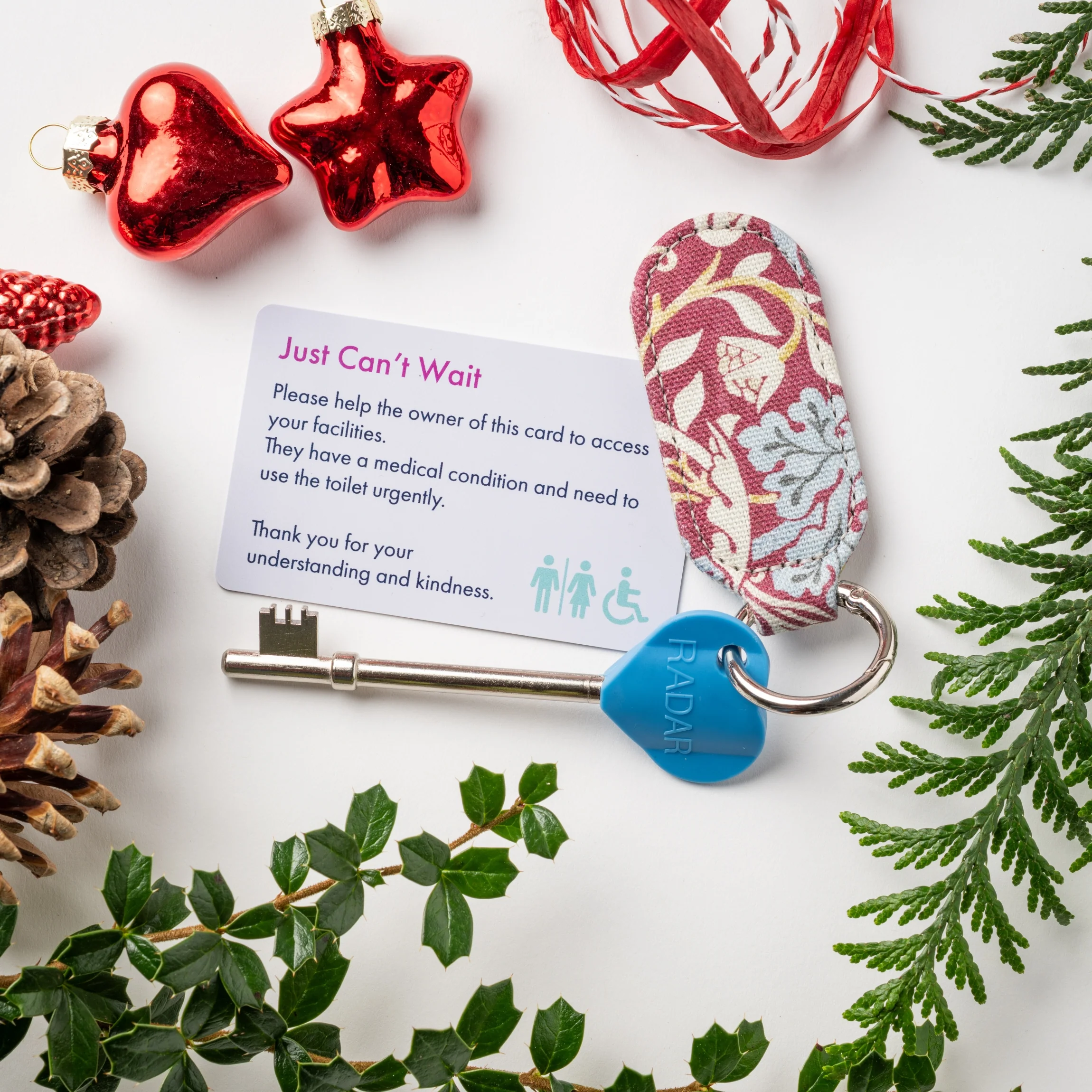 Genuine RADAR Disabled Toilet Key and Fabric Keyring in William Morris Strawberry Thief Plum - Image 3