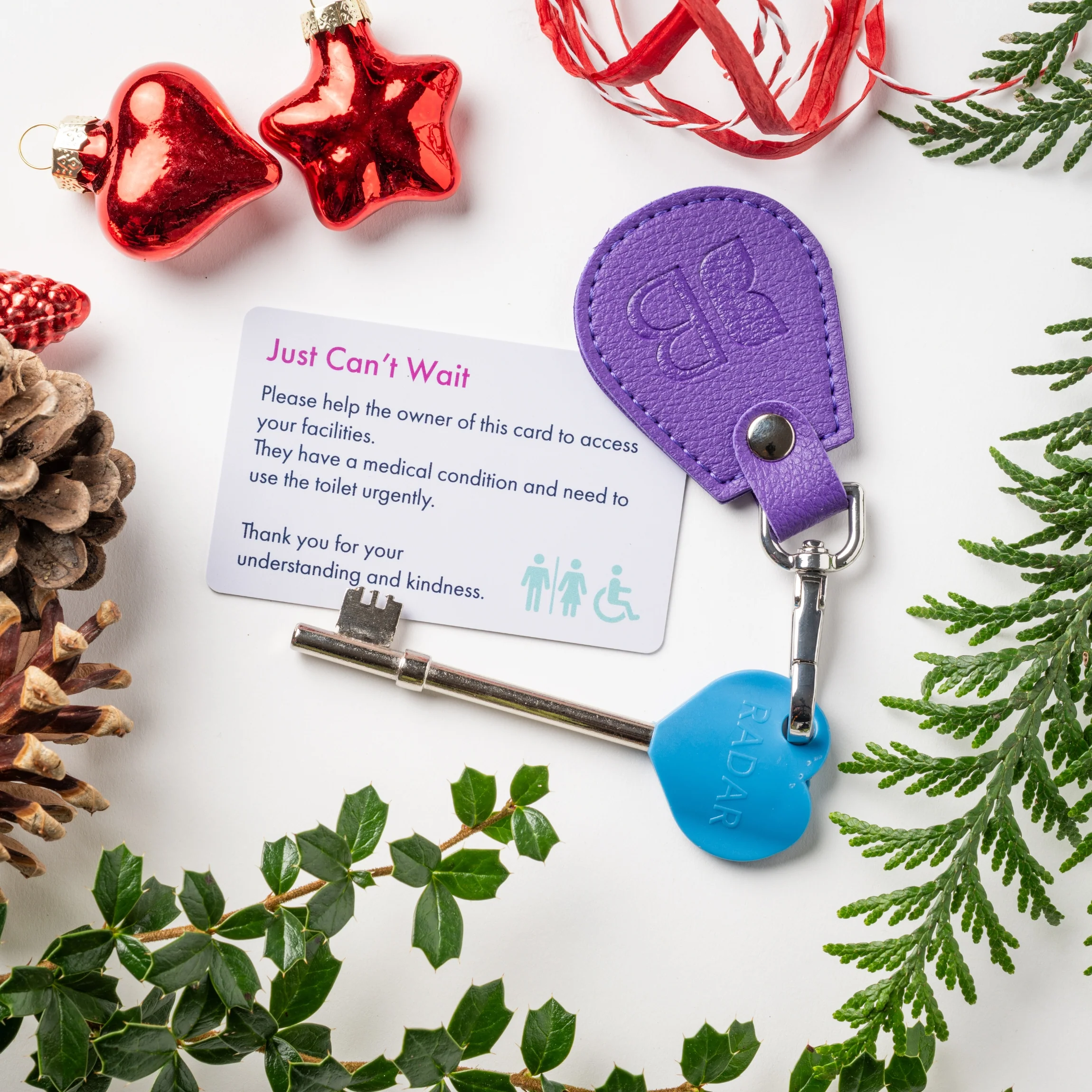 Recycled Bottles Keyring with Disabled Toilet RADAR Key in Purple - Image 3